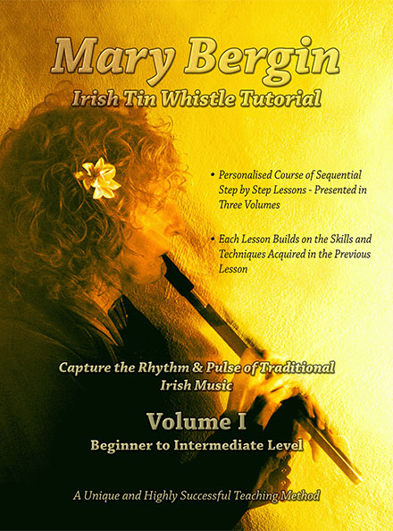 Tin Whistle Book by Mary Bergin