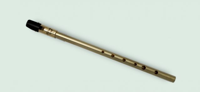 Wild Irish Whistle - High D Tin Whistle for Sale